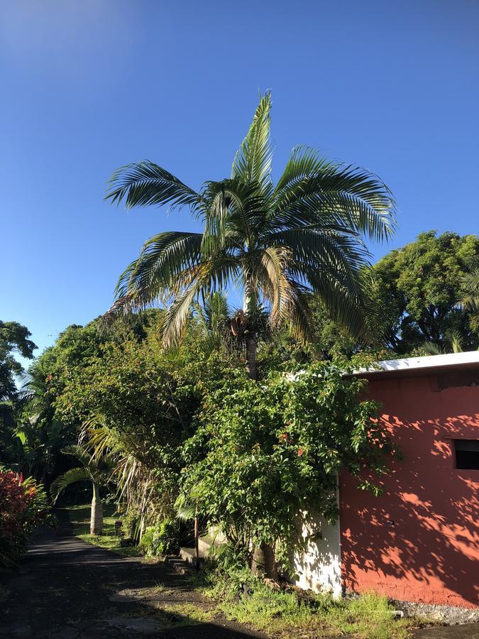 Matilona Bed & Breakfast Sainte-Rose Bagian luar foto