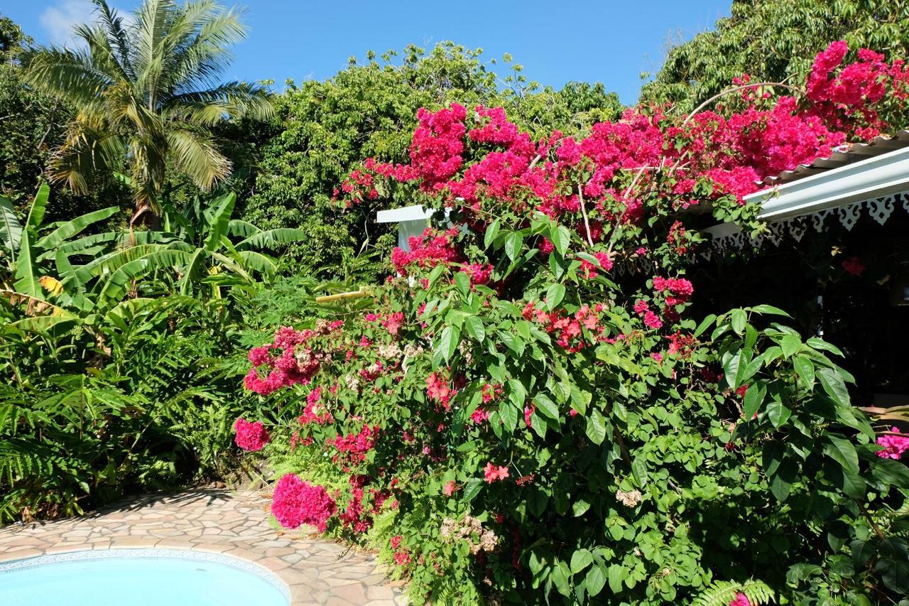 Matilona Bed & Breakfast Sainte-Rose Bagian luar foto